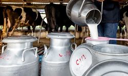 Rekabet Kurulu’na ‘süt-yem takası’ incelemesi çağrısı