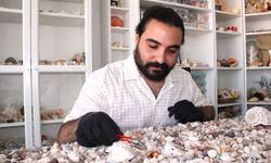 10 milyon deniz kabuğu topladı