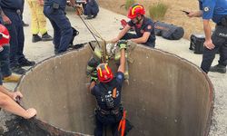 Hırsız kuyuda mahsur kaldı