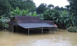 Vietnam'da sel felaketi: 8 ölü