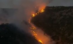 Şemdinli'de korkutan yangın
