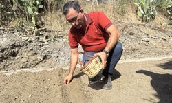 Alanya'dan salep adımı