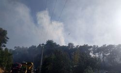 Orman yangını kontrol altına alındı