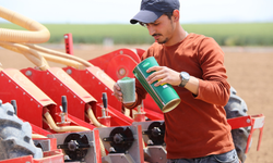 ‘Kiralık tarla’ uygulaması başladı