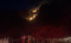 Pınardere'de  zeytinlikte alevler yükseldi