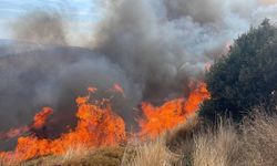 Balıkesir'de yangın