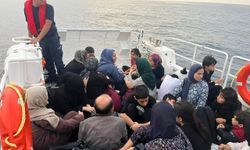 81 düzensiz göçmen yakalandı