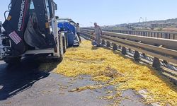 Patates yüklü kamyonet kaza yaptı