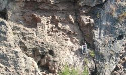 30 metre yükseklikte kaya koruğu topluyor