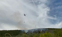 Kocaeli'de orman yangını