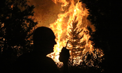 Antalya'da bir gecede 5 yangın