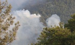 Kaymakam Öztürk: Çalışmalar sürüyor