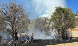 Akseki'de korkutan yangın