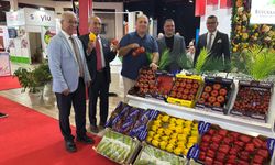 Fresh Antalya 2025'e ziyaretçi akını