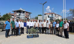 Büyükşehir'den fidan desteği