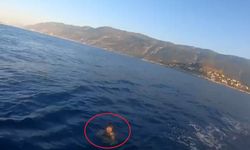 Yüzerek Yunanistan'a kaçmaya çalıştı