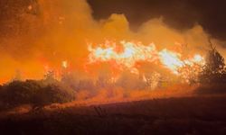 Bursa’daki orman yangınında yerleşim alanları boşaltıldı
