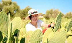 10 ton ihraç ettiler