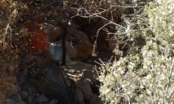 Define faciasında ölü sayısı 2'ye yükseldi