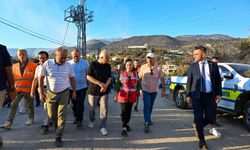 Başkan Vekili Özdemir yangın bölgesini inceledi