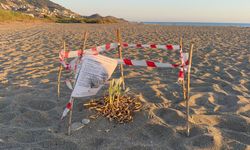 Koparmanın cezası 557 bin TL