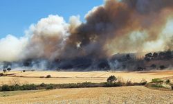 Çanakkale’de orman yangını