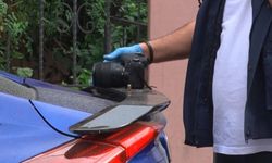 Zıpkınla vurdu yetmedi kurşunladı