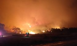 Bursa’da orman yangını