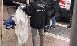 Yol kenarında ölü bulundu