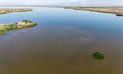 Bu göle giriş ve çıkışlar yasaklandı