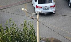 Elektrik hatlarında bakım ve denetim uyarısı
