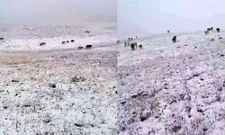 Mevsimin ilk karı yağdı