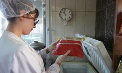 Konyaaltı'da kantin denetimi