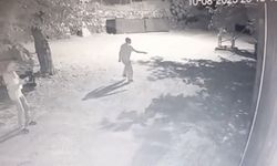 Köye inen ayıyı el fenerleriyle kovaladılar