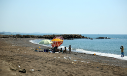 Kumköy Sahili'nde acı tablo