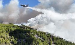 Köyceğiz'de havadan müdahale başladı
