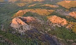 Serik'teki orman yangınına ilişkin 1 gözaltı