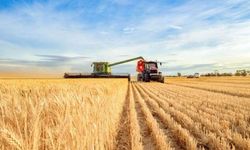 Tarım sayımı başladı: Çiftçi tedirgin