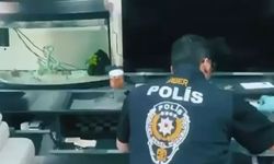 Son 5 günde 170 şüpheli yakalandı