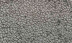 Seyhan Baraj Gölü'nde kuraklık