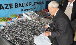 Denizlerde balık bolluğu