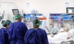 Korkutan iddialar sonrası herkes merak ediyor: Deli dana hastalığı nedir? Deli dana insanlara nasıl bulaşır?