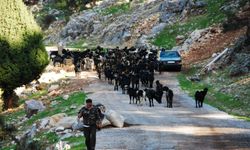 Antalya'da yaylalardan dönüşler başladı