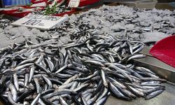 Hamside tehlike çanları çalıyor