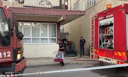 Muhabbet kuşunu itfaiye kurtardı