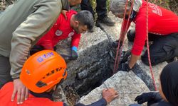 Döşemealtı'da çöp temizliği