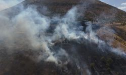 Patlıcan közlerken ormanı yaktılar