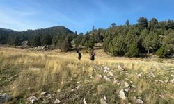 Toroslar'da mantar sezonu açıldı