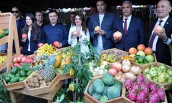 Alanya'da Tropikal Meyve Festivali başladı