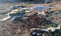 Tarihi alan çöplüğe döndü